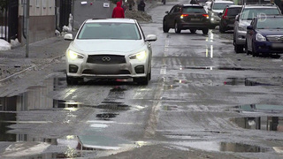 Столичный регион на несколько дней захватило аномальное потепление
