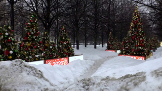Синоптики прогнозируют возвращение зимы в столичный регион на следующей неделе