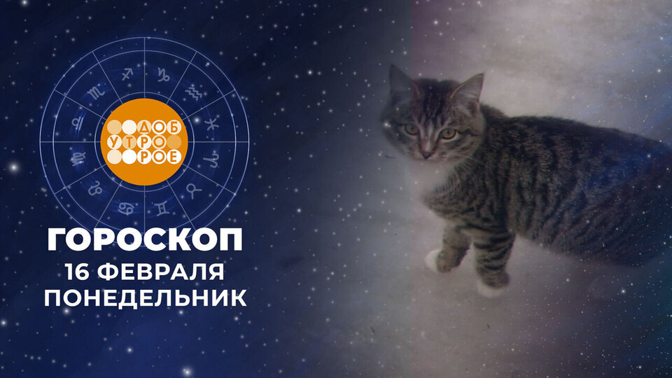 Гороскоп на 16 февраля. Доброе утро. Фрагмент выпуска от 16.02.2026