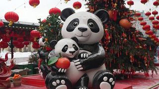 В столице стартовал фестиваль «Китайский новый год в Москве»