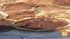 Масленичные рекорды. Доброе утро. Фрагмент 