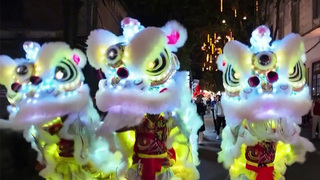 Наступил Новый год по Лунному календарю, который с особым размахом празднуют в Китае