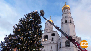 Вторая жизнь Кремлевской елки. Доброе утро. Фрагмент 