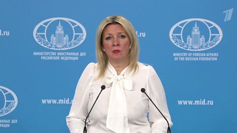 Мария Захарова прокомментировала заявление генсека НАТО о закупке оружия для Украины