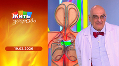 Жизнь без зубов; еда из микроволновки; прием врача-офтальмолога; биохакинг: двигайся больше — проживешь дольше. Жить здорово! 