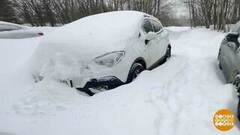 Ура! Опять снег! Доброе утро. Фрагмент 