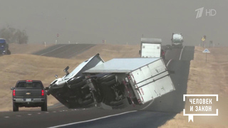 Видео недели. Происшествия. Человек и закон. Фрагмент 