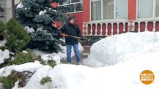 Снег на участке: убрать нельзя оставить. Доброе утро. Суббота. Фрагмент