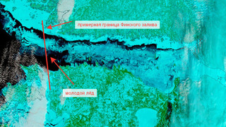 Финский залив полностью покрылся льдом впервые за 15 лет