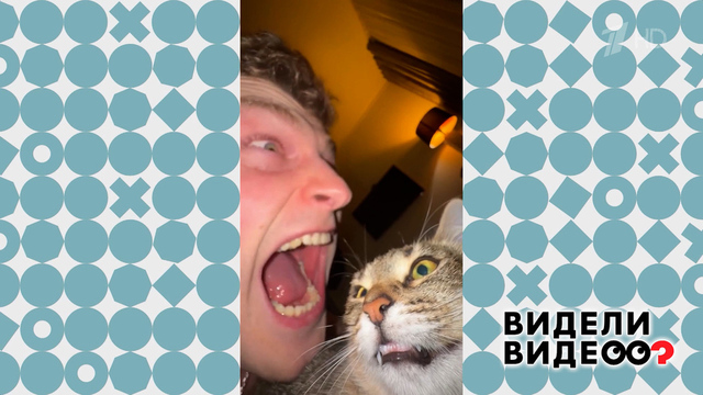 Чистосердечное признание. Видели видео? Фрагмент 