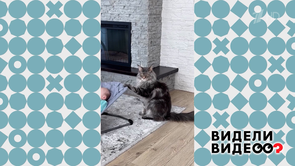Усатый нянь. Видели видео? Фрагмент выпуска от 22.02.2026