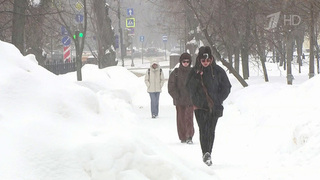 Снегопад в Москве продолжится до четверга