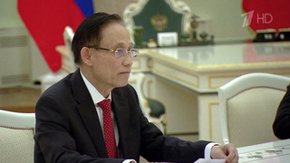 Отношения России и Вьетнама развиваются позитивно, отметил Владимир Путин на встрече с Ле Хоай Чунгом