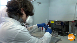 Будем химичить! Доброе утро. Фрагмент 