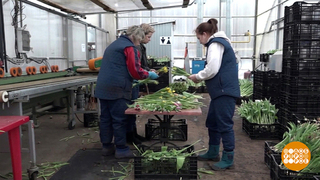 Ищу работу на лето! Доброе утро. Фрагмент 