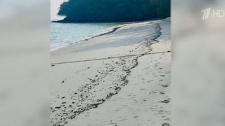 После ЧП популярные пляжи тайского острова Пхукет оказались в мазуте