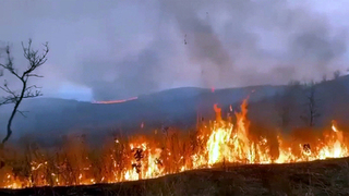 В Приморье ликвидирован крупный природный пожар