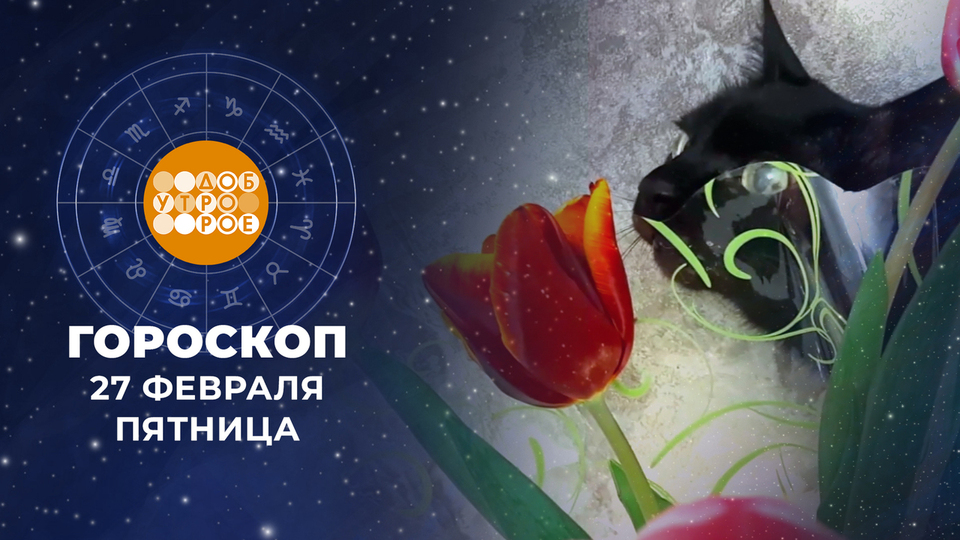 Гороскоп на 27 февраля. Доброе утро. Фрагмент выпуска от 27.02.2026