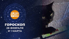 Гороскоп на 28 февраля и 1 марта. Доброе утро. Суббота. Фрагмент