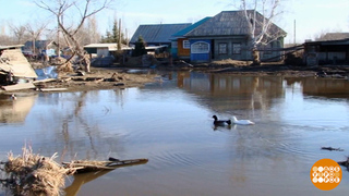 Весна пришла. Готовимся к половодью? Доброе утро. Фрагмент