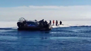 Спасатели сняли с льдины в Финском заливе 230 человек