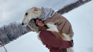 Волонтеры во всей страны едут в зону спецоперации и приграничье ради оставшихся без хозяев животных