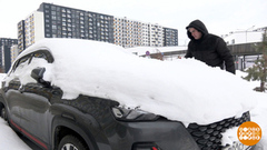 И расцвел «подснежник»! Как убрать этот хлам? Доброе утро. Фрагмент 