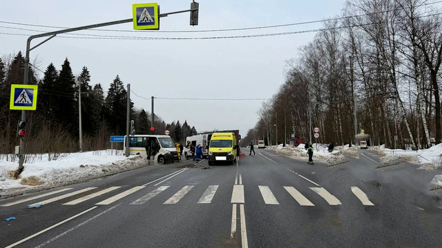 Два человека погибли после столкновения маршрутки и грузовика в Пушкино