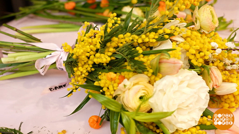 За что мы любим мимозу. Доброе утро. Фрагмент