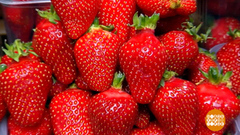 Клубника, ты откуда такая весенняя? Доброе утро. Фрагмент 