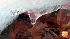 По всем приметам — весна! Доброе утро. Фрагмент 