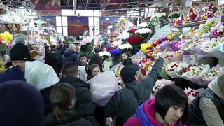 Накануне 8 Марта в цветочных магазинах царит ажиотаж