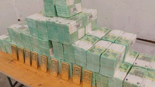 В Венгрии опубликовали кадры изъятых у украинцев денег и золота