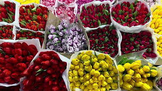 Мужчины спешат выбрать лучшие букеты для женщин к 8 Марта