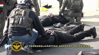 Конфликт между Украиной и Венгрией вышел на новый уровень