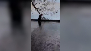 В поисках троих пропавших в Звенигороде подростков участвуют более 150 человек