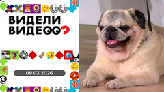 Видели видео? 