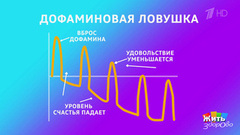 Бурный секс после скандала — рестарт или ловушка? Жить здорово! Фрагмент 