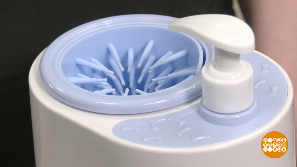 Лапомойки для собак: тест-драйв. Доброе утро. Фрагмент выпуска от 10.03.2026