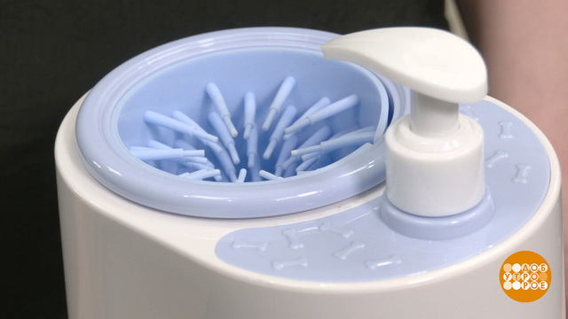 Лапомойки для собак: тест-драйв. Доброе утро. Фрагмент 