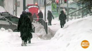 Много снега? Ждем большого урожая! И комаров… Доброе утро. Фрагмент