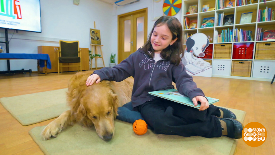 Собака, давай почитаем! Доброе утро. Фрагмент выпуска от 12.03.2026