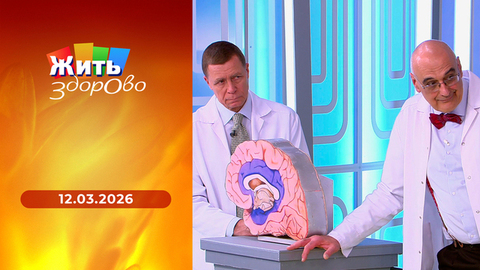 Грипп; пожарские котлеты; атеросклероз сосудов; запрет на соцсети. Жить здорово! 