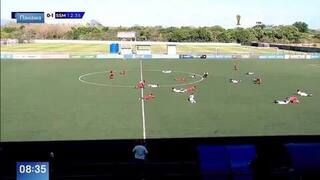 Обманный маневр: футболисты притворились мертвыми, спасаясь от пчел в Панаме