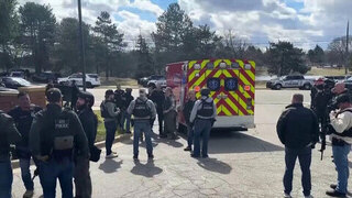 Уроженец Ливана протаранил синагогу в Мичигане