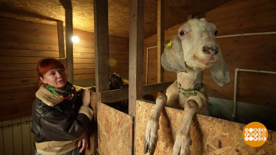 На деревню? К девушке! Доброе утро. Фрагмент выпуска от 14.03.2026