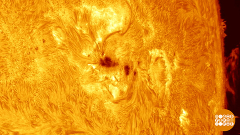 Кто почистил Солнце? Доброе утро. Фрагмент 