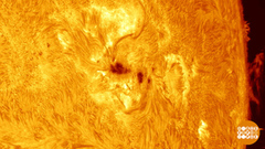 Кто почистил Солнце? Доброе утро. Фрагмент 