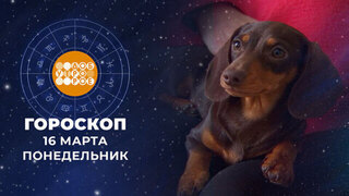 Гороскоп на 16 марта. Доброе утро. Фрагмент 