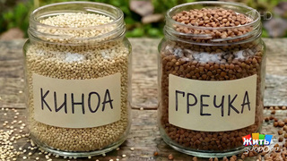 Киноа. Жить здорово! Фрагмент 